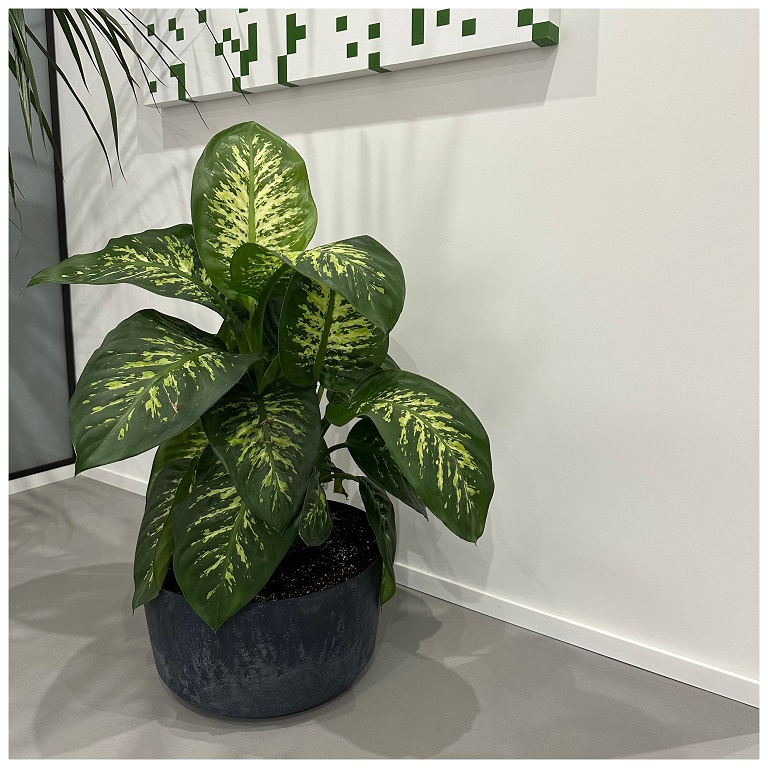 Profesjonalne doradztwo